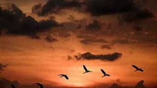 Antwnis Remos ~ Xartina Feggaria ( 2011)