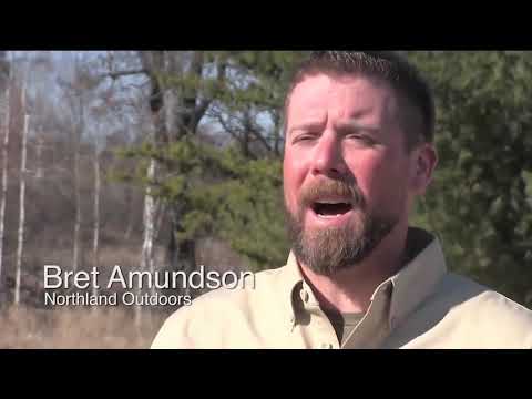 ABC 7 News at Noon - July 18, 2017