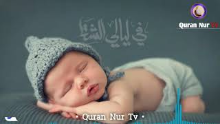 Download lagu Mayin qiroat || Juda yoqimli || The most peaceful Quran recitation || Quran Nur tv mp3