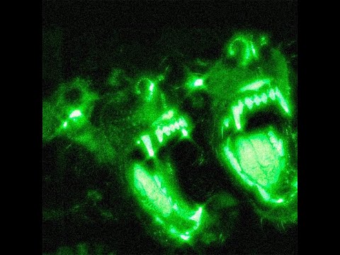 (sold) crystal castles x gesaffelstein x techno type beat ”fragments” | prod. morecalcium