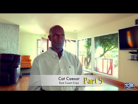 Cat Caesar on Raymond Washington Founder of the Crips Part 5
