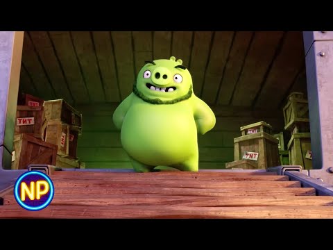 The Pigs Arrive | The Angry Birds Movie | Now Playing