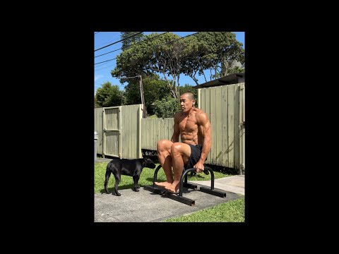Day 322 FitPro Hawaii Workout - Core Exercises with Parallettes (novice) - April 4, 2021, 9:57 am
