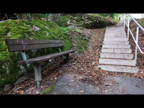 DEN COOLA TRAPPAN - Älgbacken - Knektabacken (Blasius) - 200911 - RONNEBY - Blekinge - Huawei P30