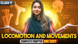 Locomotion and Movement Class 11 One Shot | NCERT Biology Full Chapter Explanation | CBSE 2024-25