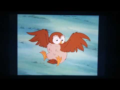 Owl - Little Bear Sing A Song