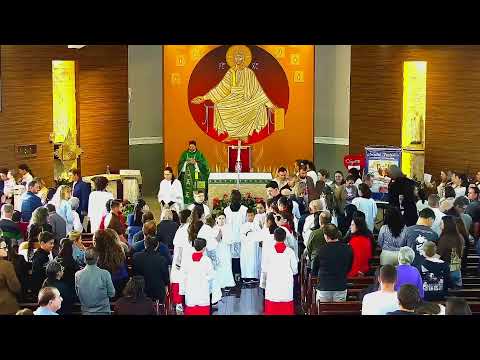 Paróquia Nossa Senhora de Lourdes :: Tupãssi - PR