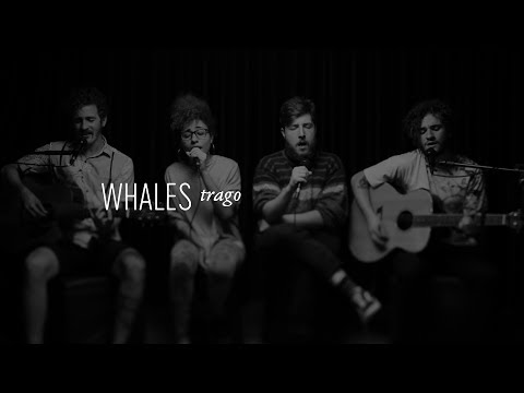 HAI STUDIO / Trago - jan