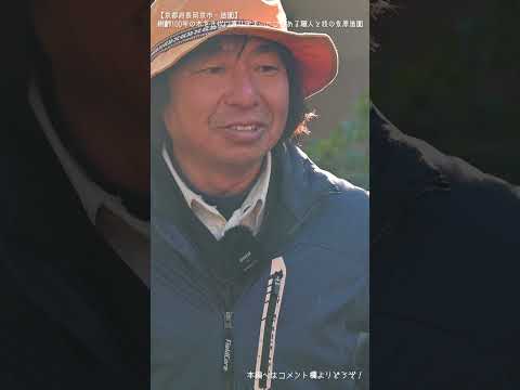 jardin-alpin-mini-terrasse-succulentes-plantes