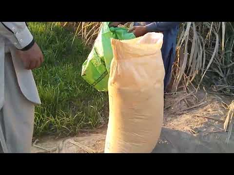 XXL XXL XXL XXL FREESTYLE 2024 |XXL 2025 💕| Xxwd5000xa | XXL XXL XXL XXL FREESTYLES