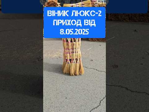 Веник сорго высший сорт Люкс-3 h=75-85 см (нитка) - фото 1 - id-p1507033107