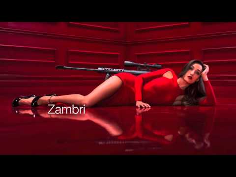 Zambri-Carry(Hooray For Earth Remix)