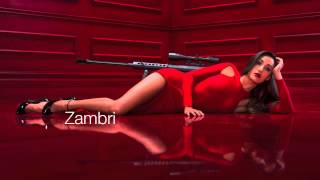 Zambri-Carry(Hooray For Earth Remix)