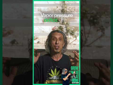 What is Vapor Pressure Deficit (VPD) and Why Should Growers Care?