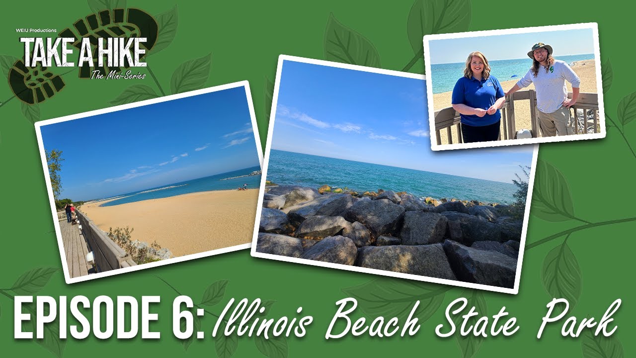 Illinois Beach State Park video
