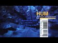 Hum - Ms. Lazarus (Lyric Video)
