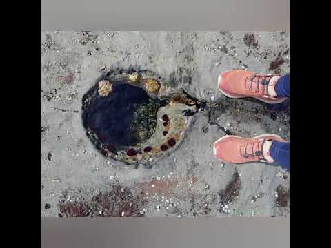 Great Ocean Walk Day 3