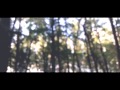 Mapps - Soulstice 
