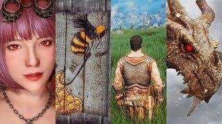 The Best Skyrim GRAPHICS Mods of 2018 (LE, SE)