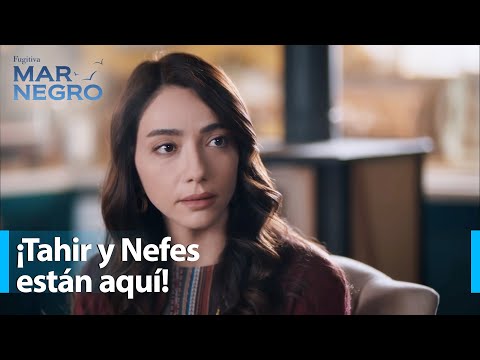 Buenas noticias de Osman Hodja - Mar Negro Capítulo 139 | Fugitiva