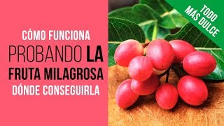 La FRUTA MILAGROSA 🍇con los 3 efectos QUE AUN NO CONOCES 😜[FUNCIONA] Ledidi de Nature&#39;s Wild Berry