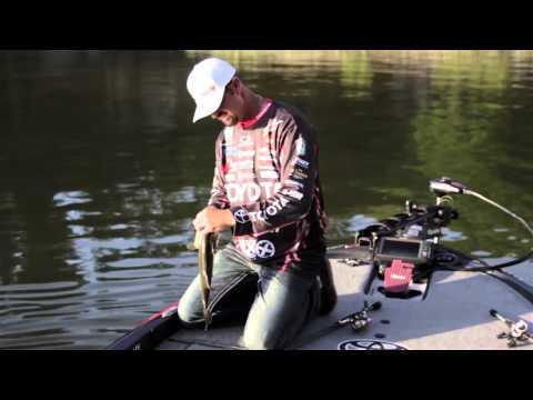 Tips for Light Line Fishing for Bass