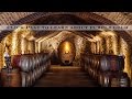 Agent 69 Saves Buena Vista Winery New Cinematic Video Release