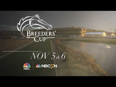 Tune In to the 2021 Breeders' Cup World Championships on November 5 & 6