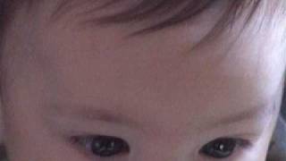 Never Cry Wolf - We should have met in Sahara