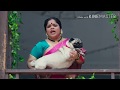 Ye Re Ye Re Paisa Bestever Verry Funny Clip Of Marathi Movies