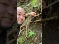 JAPANESE Let S Learn Japanese Words With Things In The Mountains