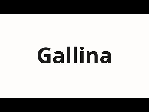 How to pronounce Gallina