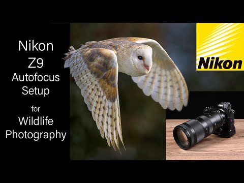 Nikon Z9 Autofocus Setup for Wildlife