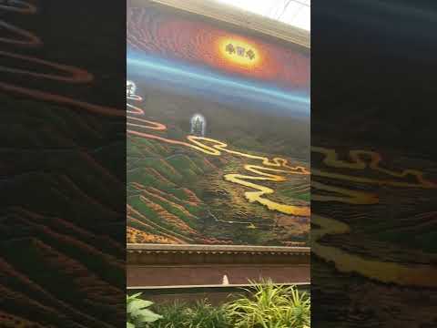 🛕 Tirumala Tirupati Temple Andhra Pradesh | Part 14 | #shorts