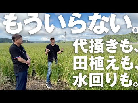 ミメトゥスについて詳しく解説