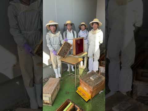 商学科 安田学園 ショートムービー