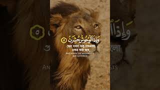 Download lagu SURAH AT TAQWIR 1-9 Verses By Qari ABDUl BASIT mp3