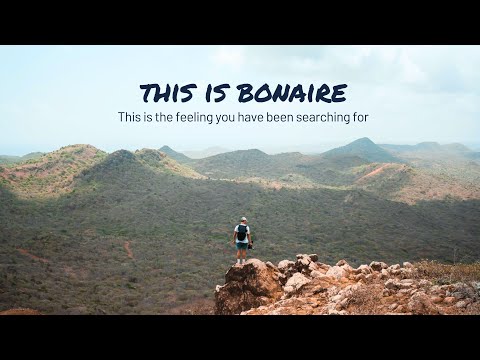 THIS IS BONAIRE | This is the feeling you have been searching for