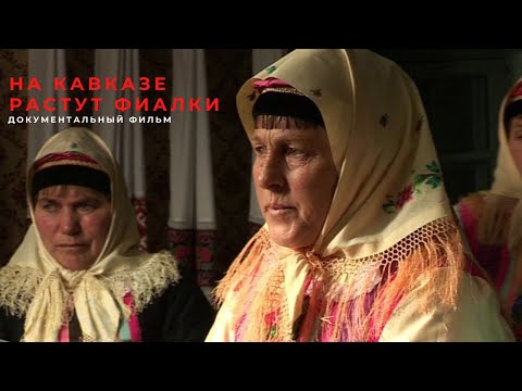 На Кавказе растут фиалки (2010) Документальный фильм | ЛЕНДОК