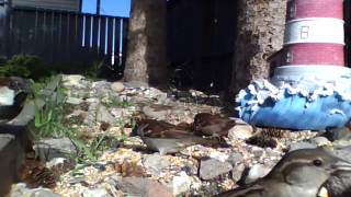 Michelle Tumes - Blessings Flow