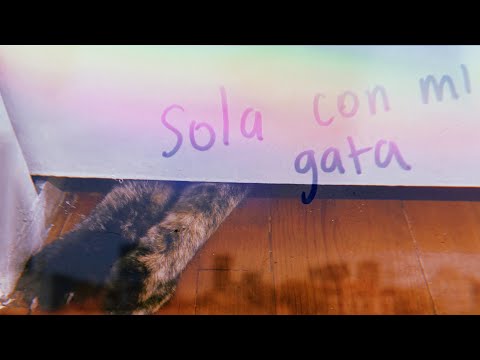 Miniatura de Sola con mi gata