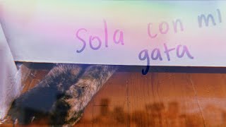 sola con mi gata Music Video