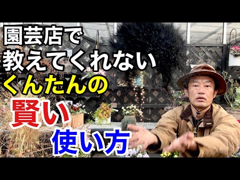 園芸 ハーブストのイレジン