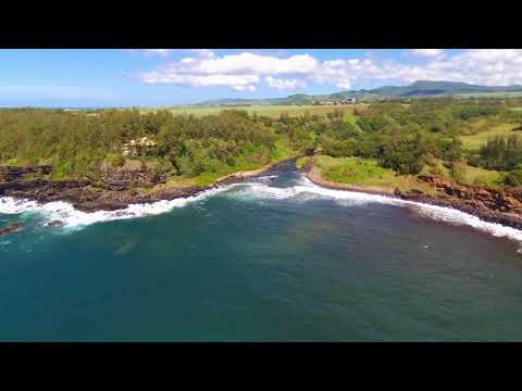 download lagu mp3 mp4 Andrea Lodge, download lagu Andrea Lodge gratis, unduh video klip Andrea Lodge