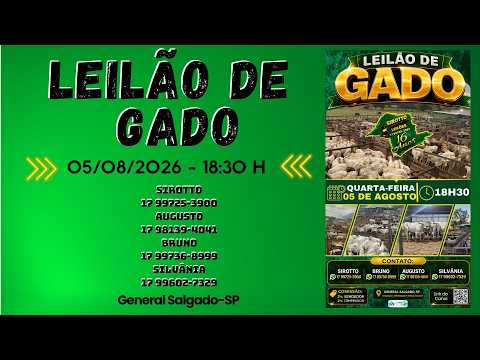 LEILÃO DE GADO  -  SIROTTO LEILÕES - GENERAL SALGADO - SP  -05/08/2026
