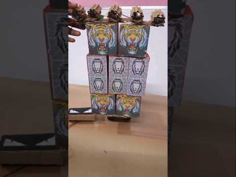 DJ lion setup with full bass playing in truck #dj