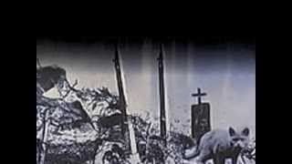 Pet Sematary - Helalyn Flowers cover