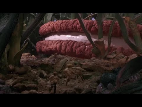 HONEY I SHRUNK THE KIDS!  GIANT OATMEAL COOKIE SCENE