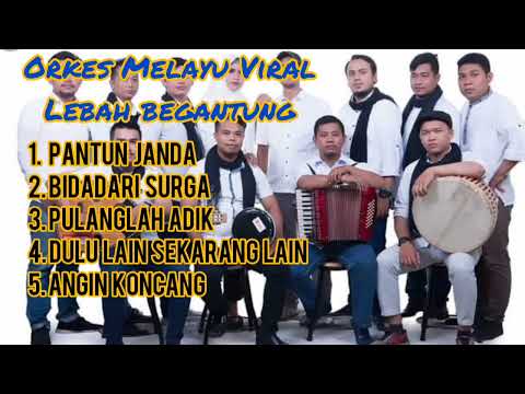 SPESIAL KOMPILASI LEBAH BEGANTONG ORKES MELAYU VIRAL DI MEDAN - PANTUN JANDA