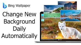 How to Automatically get New Wallpaper daily